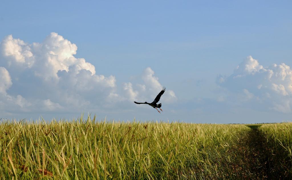 Bamurru Plains Point Stuart Ngoại thất bức ảnh
