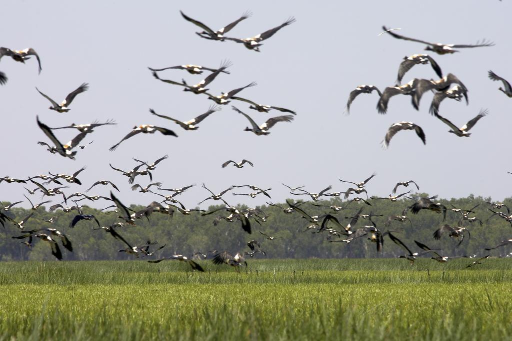 Bamurru Plains Point Stuart Ngoại thất bức ảnh