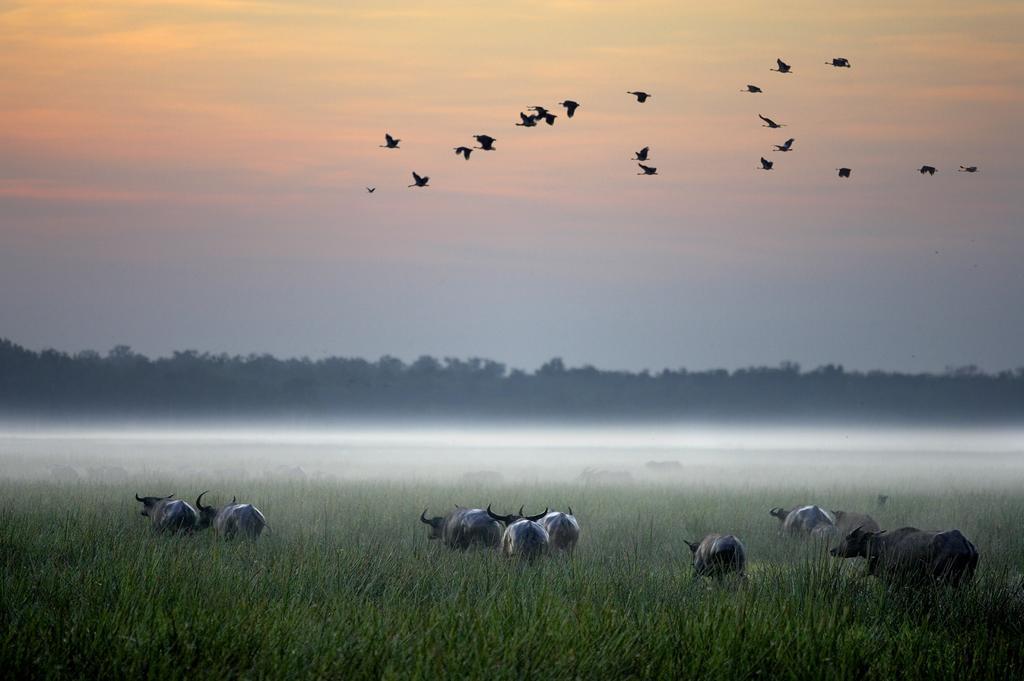 Bamurru Plains Point Stuart Ngoại thất bức ảnh