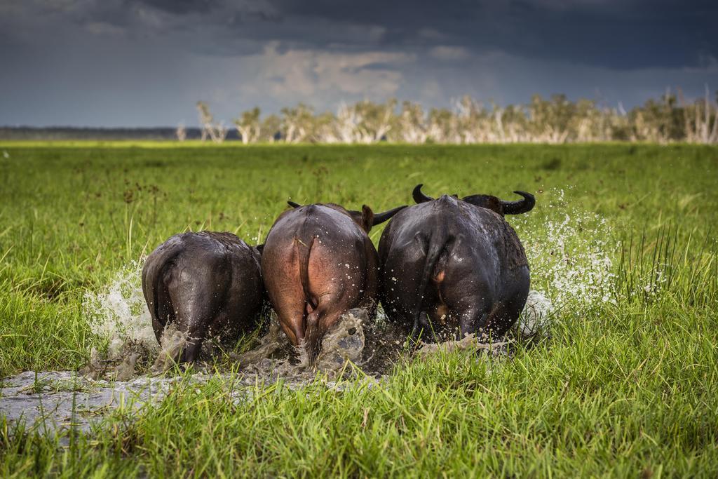 Bamurru Plains Point Stuart Ngoại thất bức ảnh