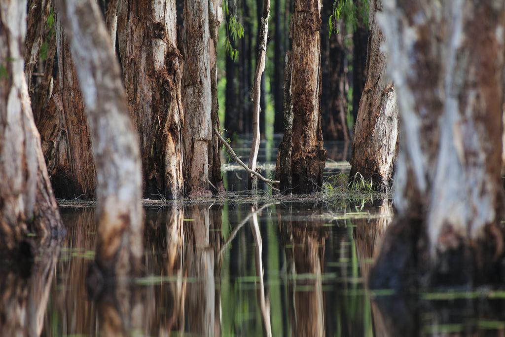 Bamurru Plains Point Stuart Ngoại thất bức ảnh