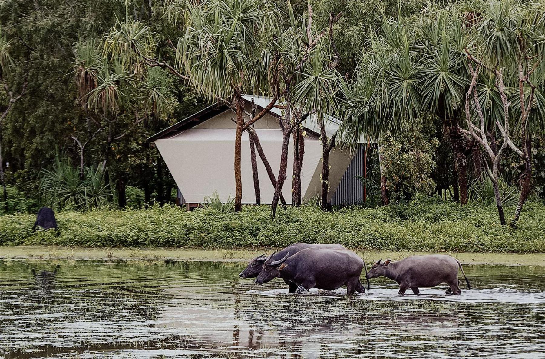 Bamurru Plains Point Stuart Ngoại thất bức ảnh